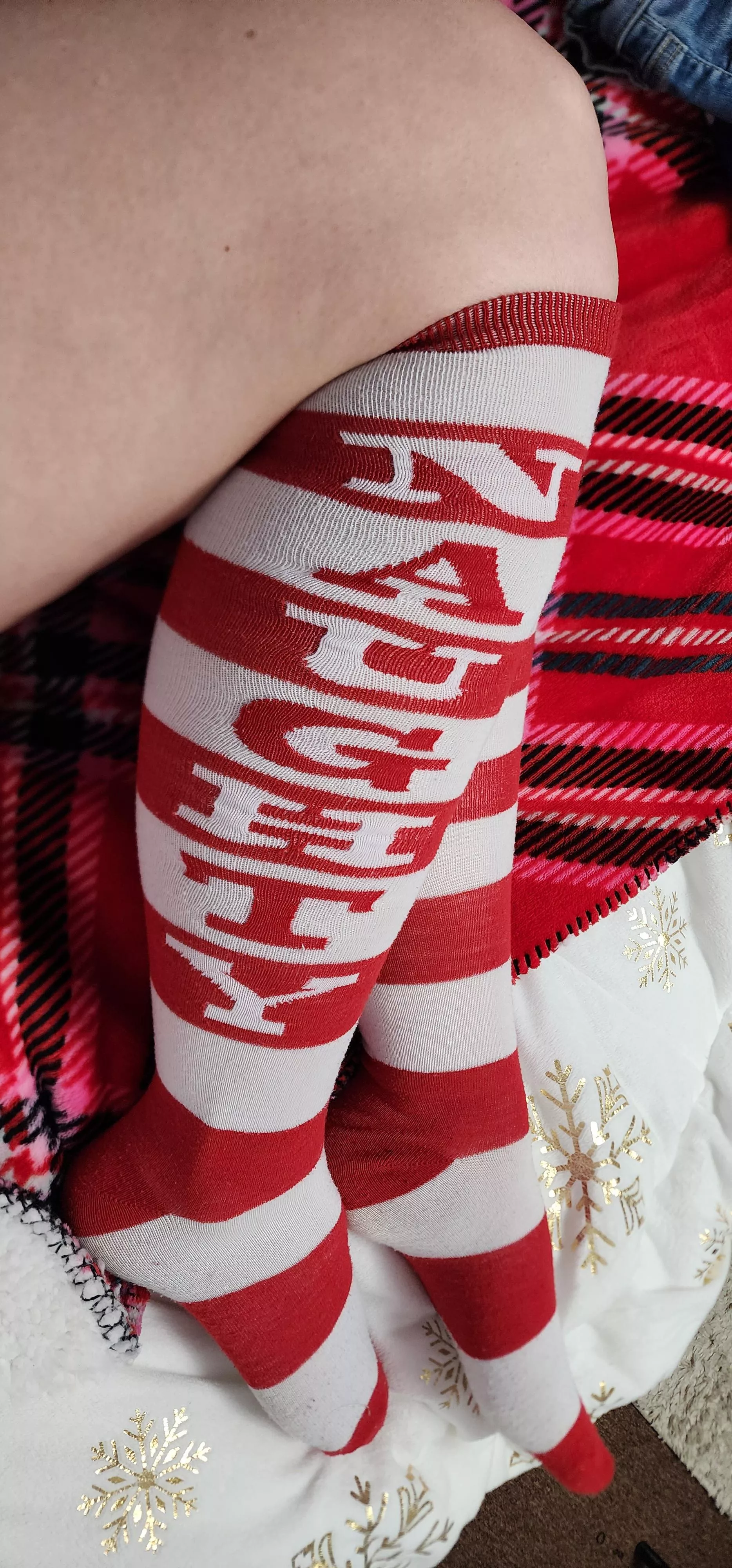 Christmas socks [f]