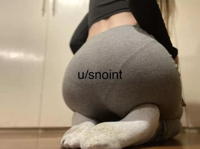 Dirty socks and booty