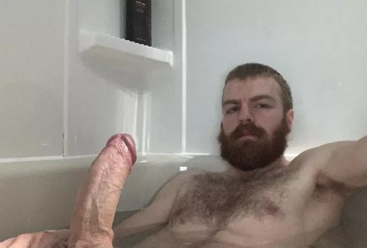 Do I meet your standards?