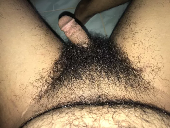 Do you like thick dark bush?