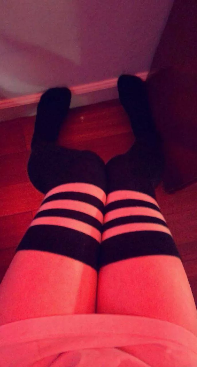 Feel free to use me as your pillow~