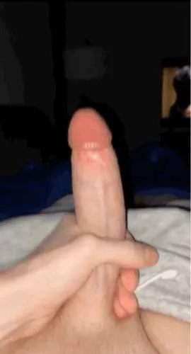 Ive always wanted to be involved in a bi cuck scenario, i just don’t know if I wanna be the Bull or the cuck!