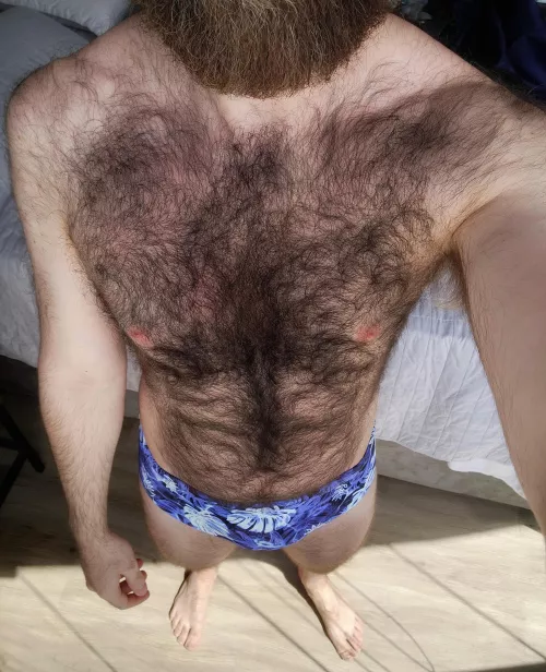 Let's go to the beach?