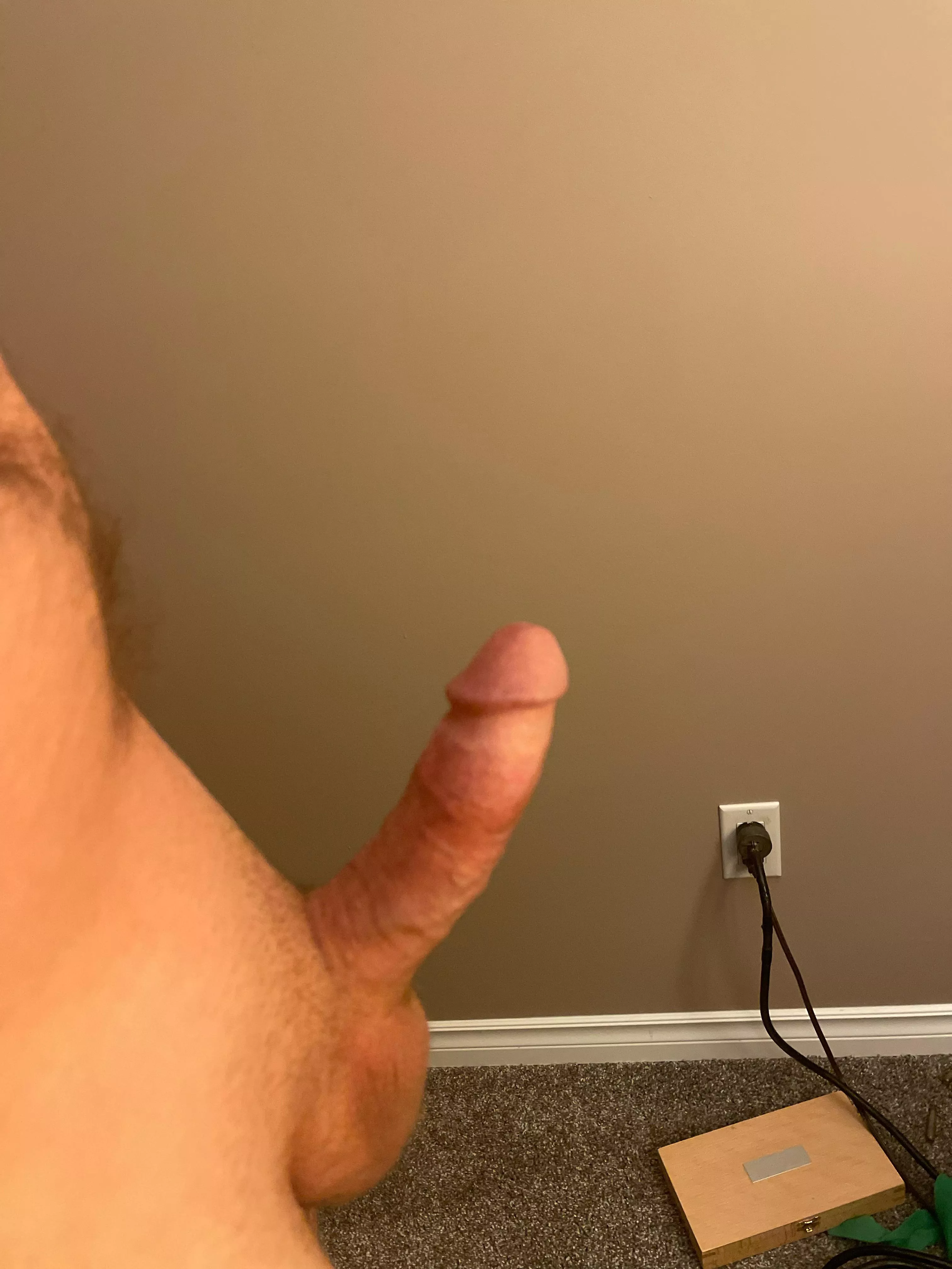 (M)idnight wood