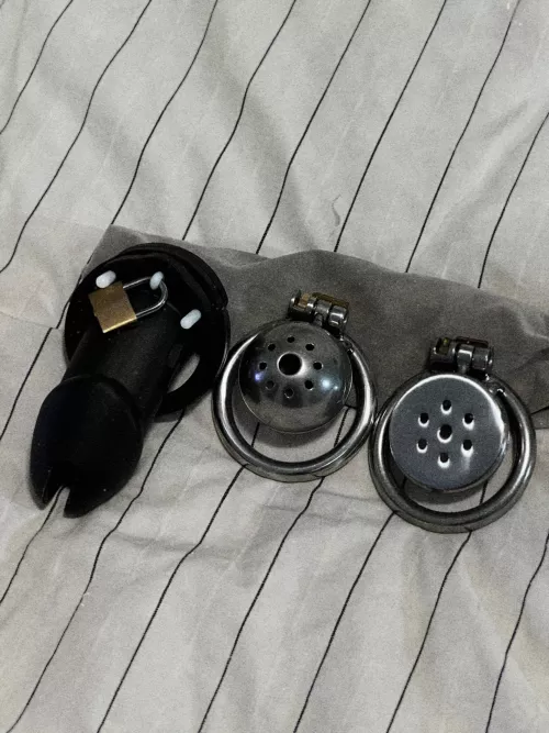 My chastity progress ♥️