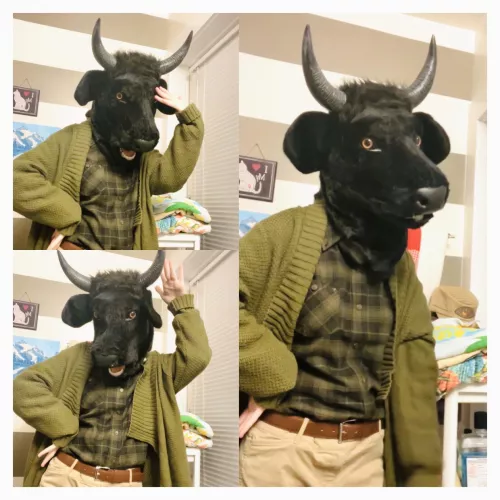 New Fursona Dropped! 🐮