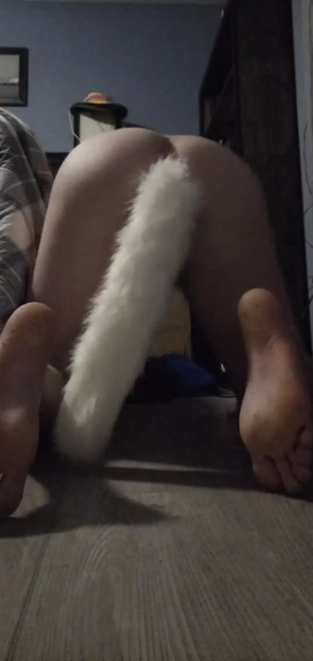 Pup Ameras cute ass wagging for alpha