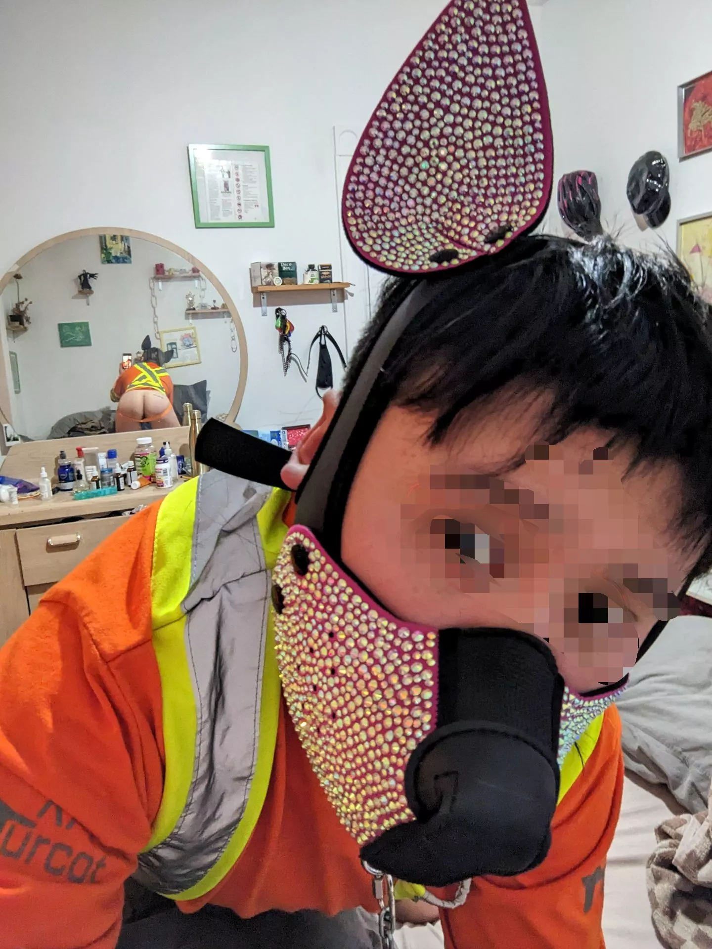 puppy looking at his reflection...