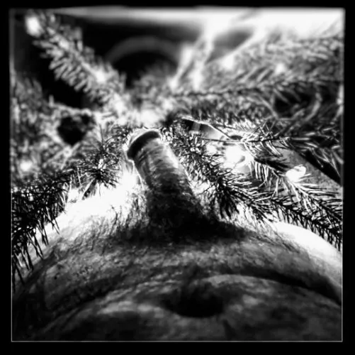 Season's Greetings! 67