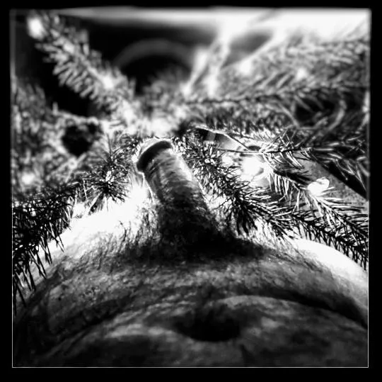 Season's Greetings! 67