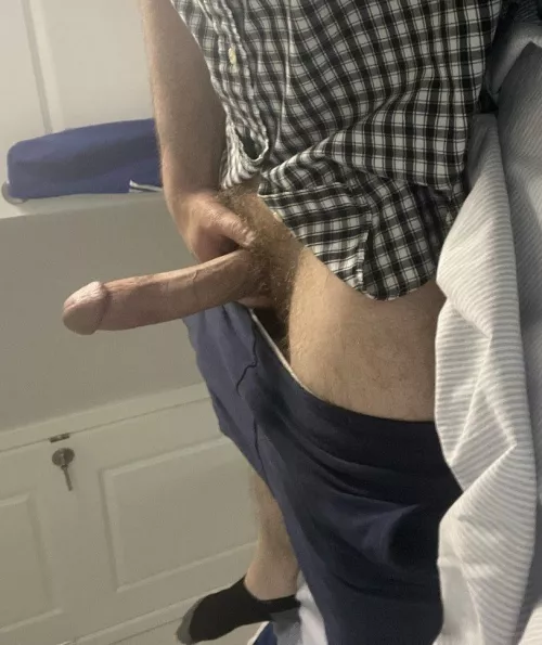 Season’s seedings (35)