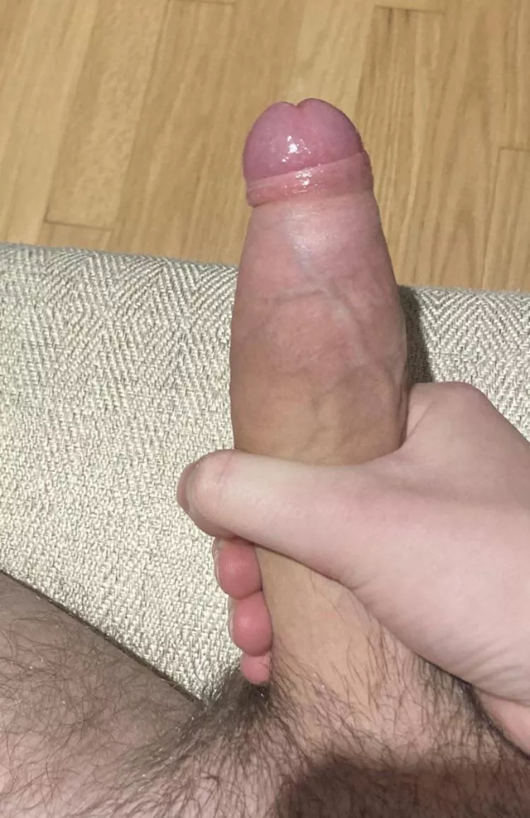 Suck this fat cock…