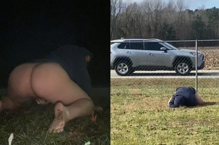 They stopped to take a picture lol