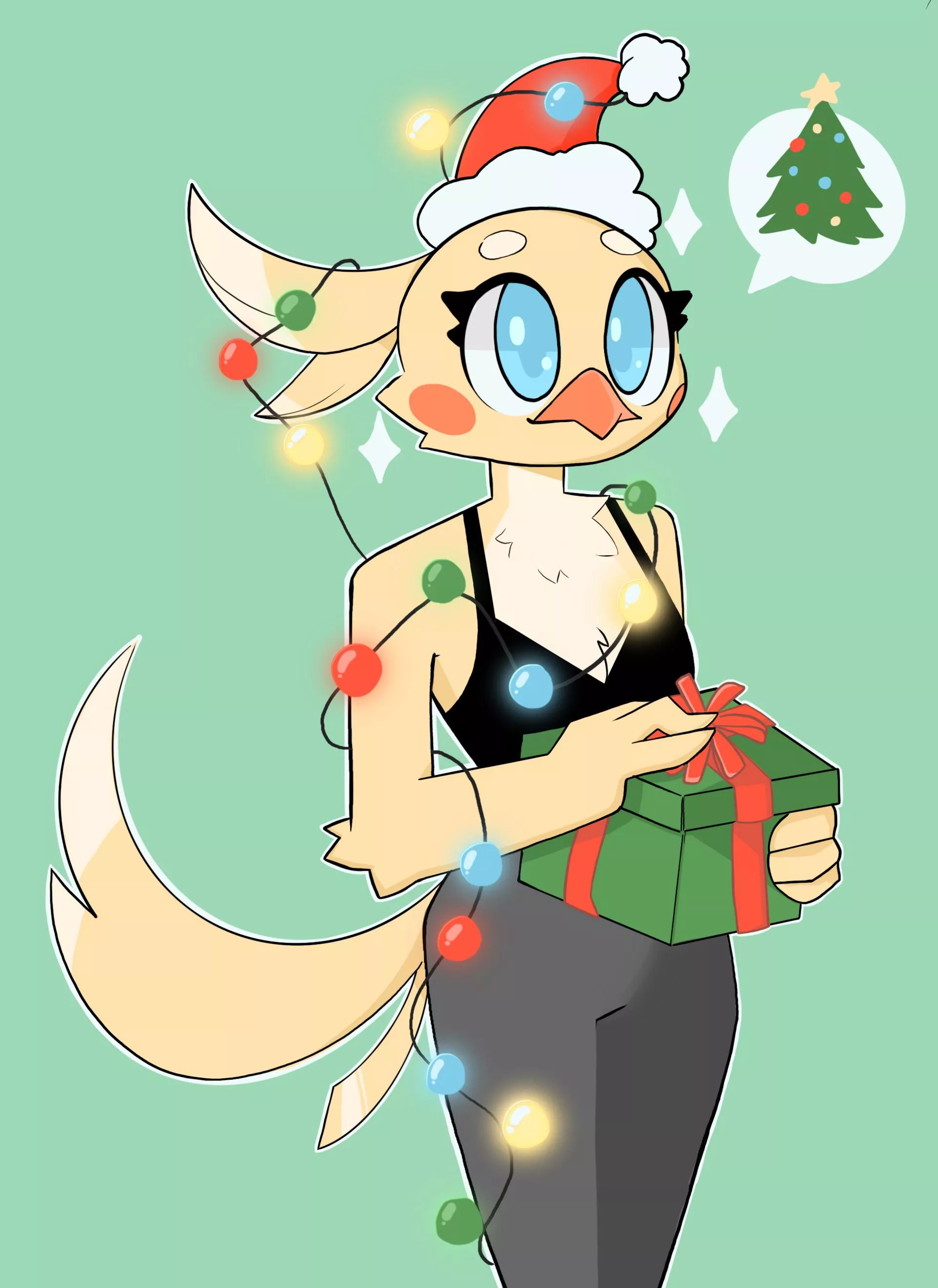 What’s in the box?