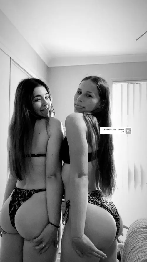 Which ass we smashing 🥵