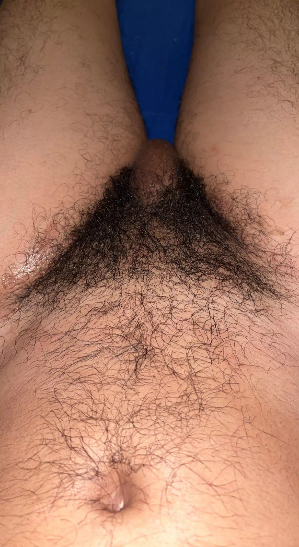 You should bury your face in these pubes 😉🐽