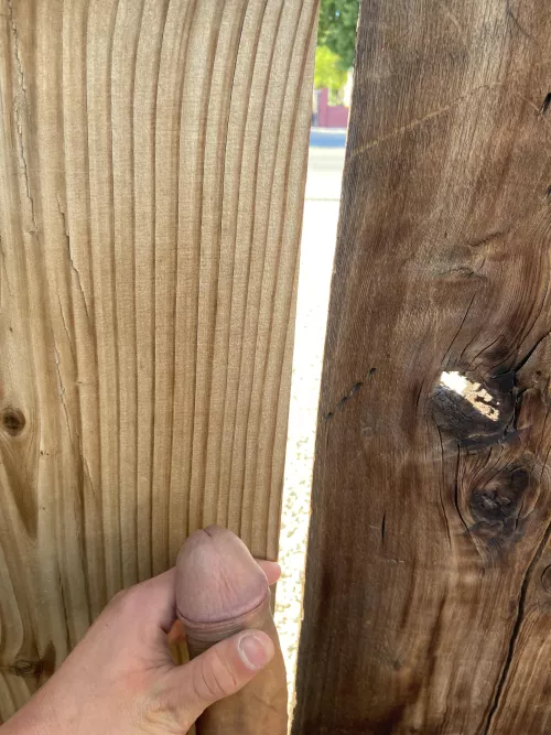 19m Looking to show off and take dares