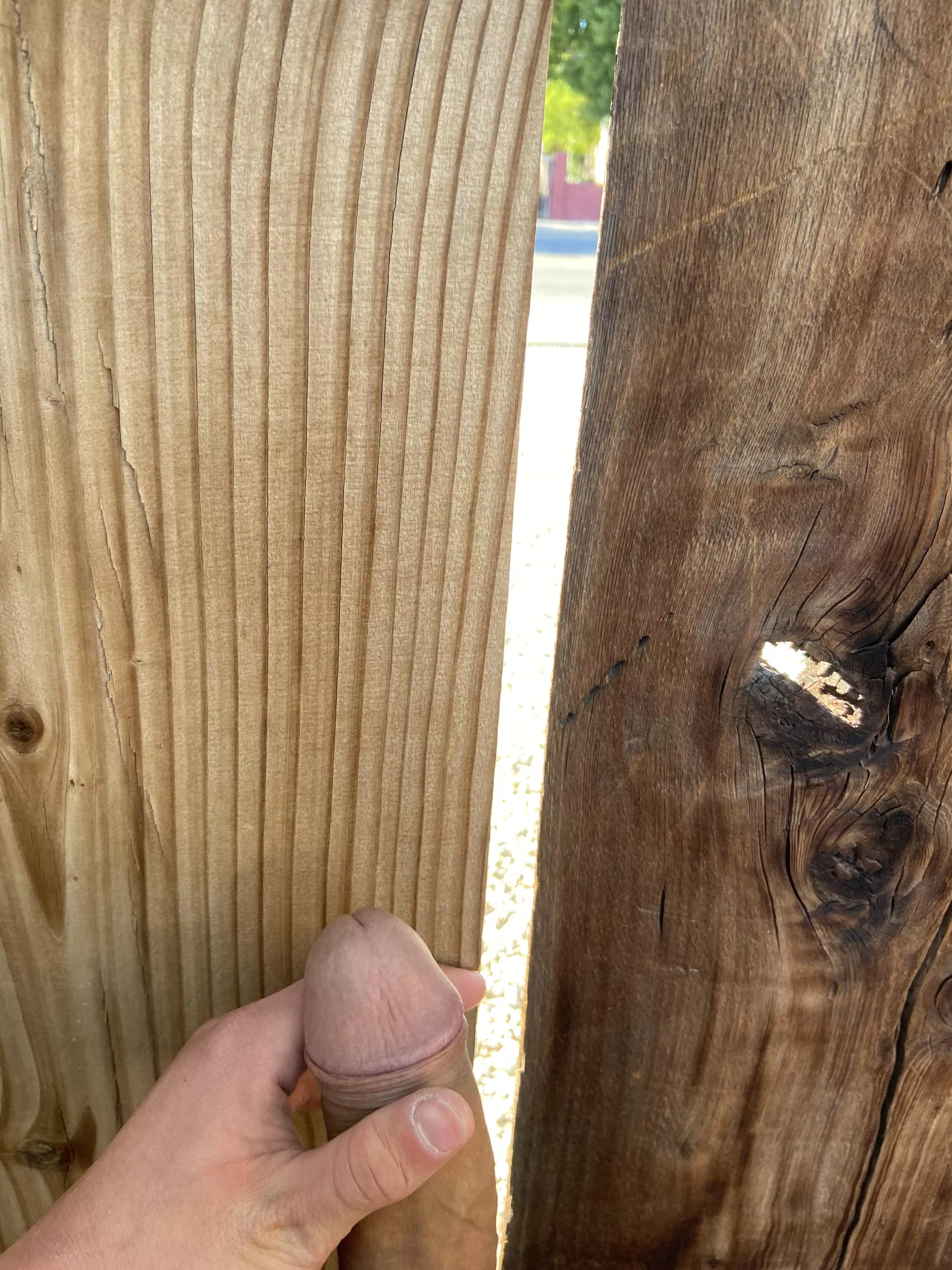 19m Looking to show off and take dares