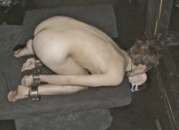 20 slave I'm looking for master