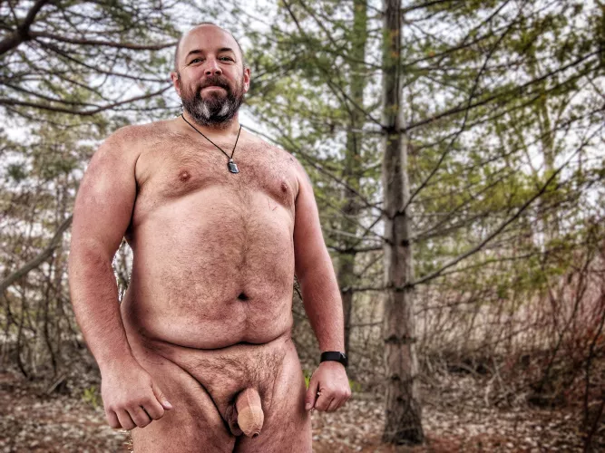 a bear in its natural habitat