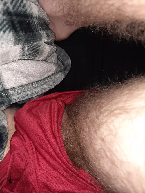 a sneak peak of the forest