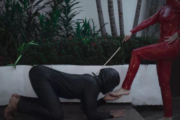 Bark if you want to worship My feet