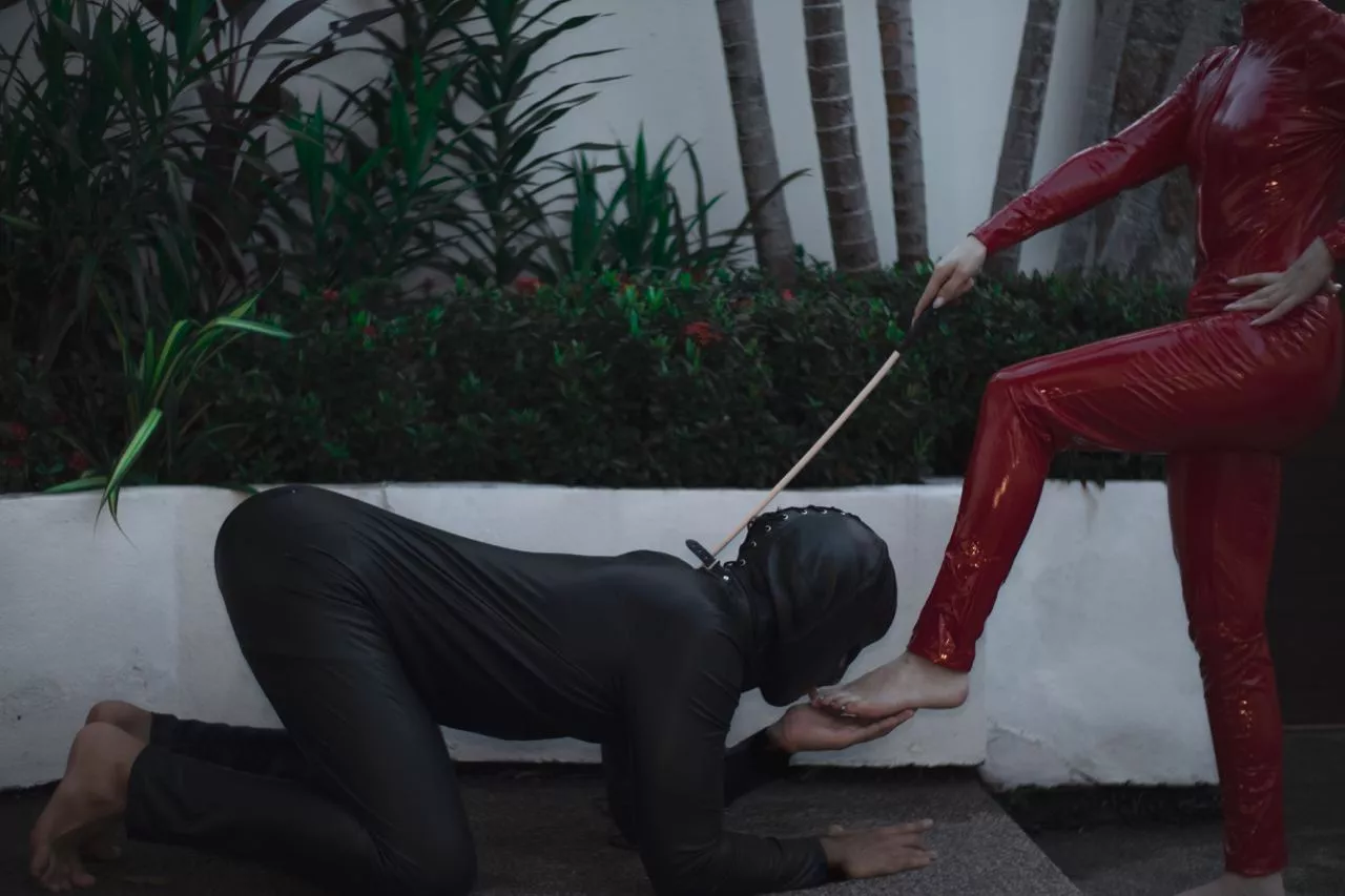 Bark if you want to worship My feet