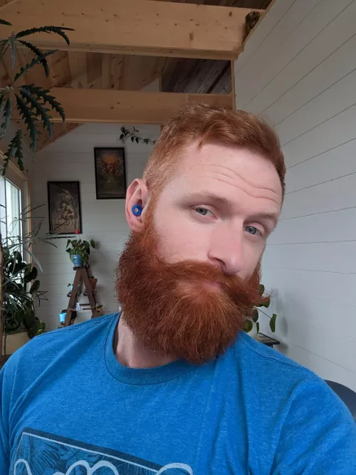 Beard is coming in nicely