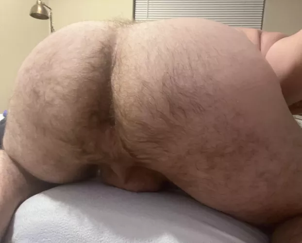 Big hairy ass