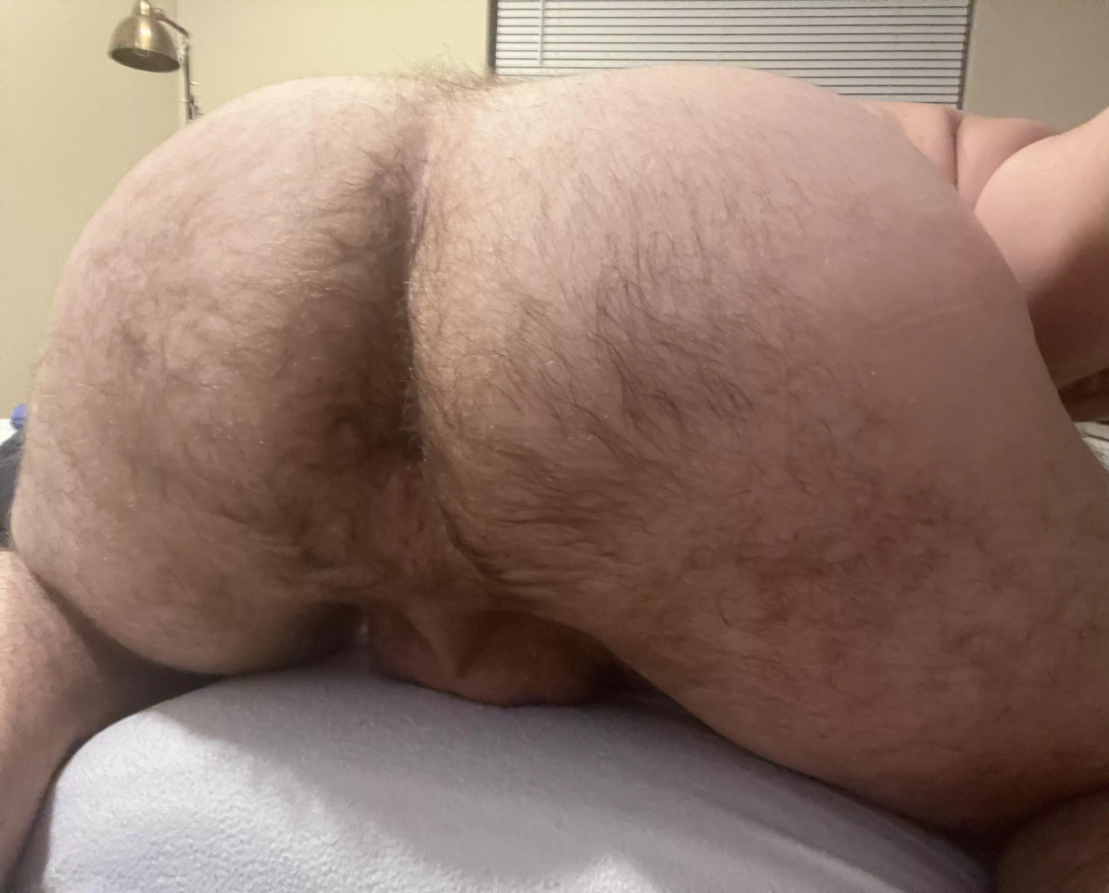 Big hairy ass