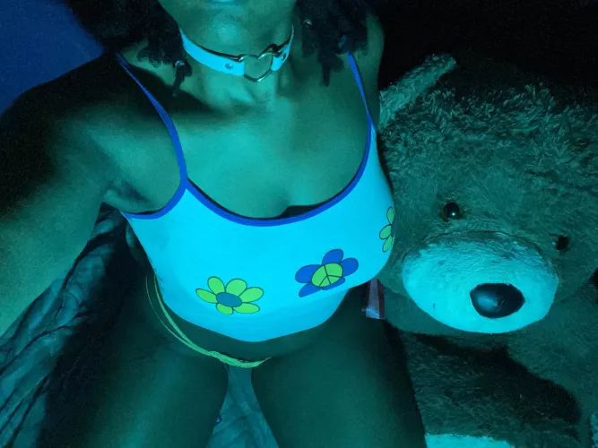 Can Teddy get a collar too?