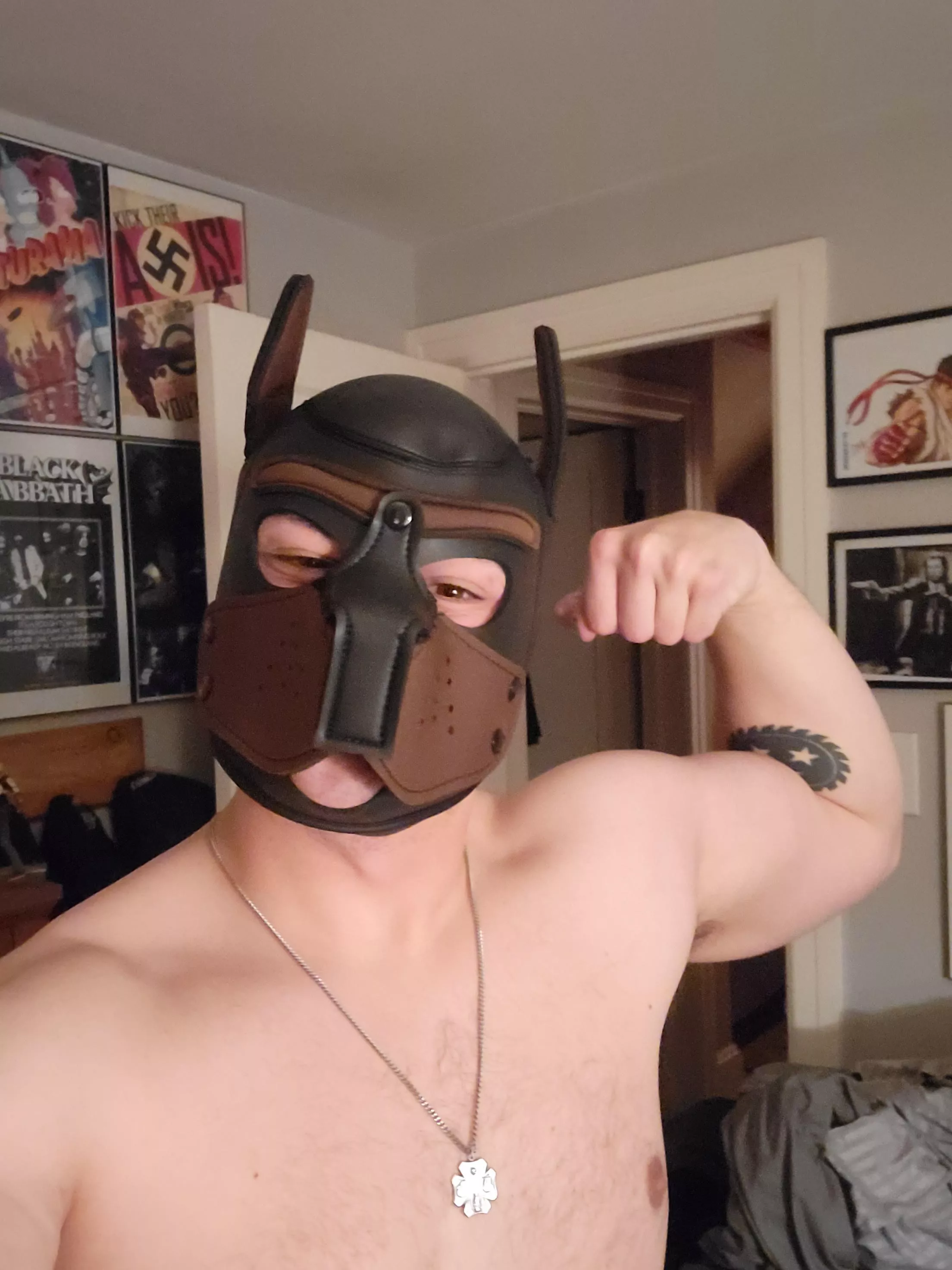 Even if it's cheap, I love my hood.