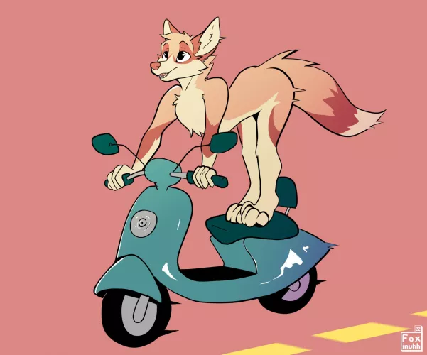 Fox on a moped (FoxinuhhBox)
