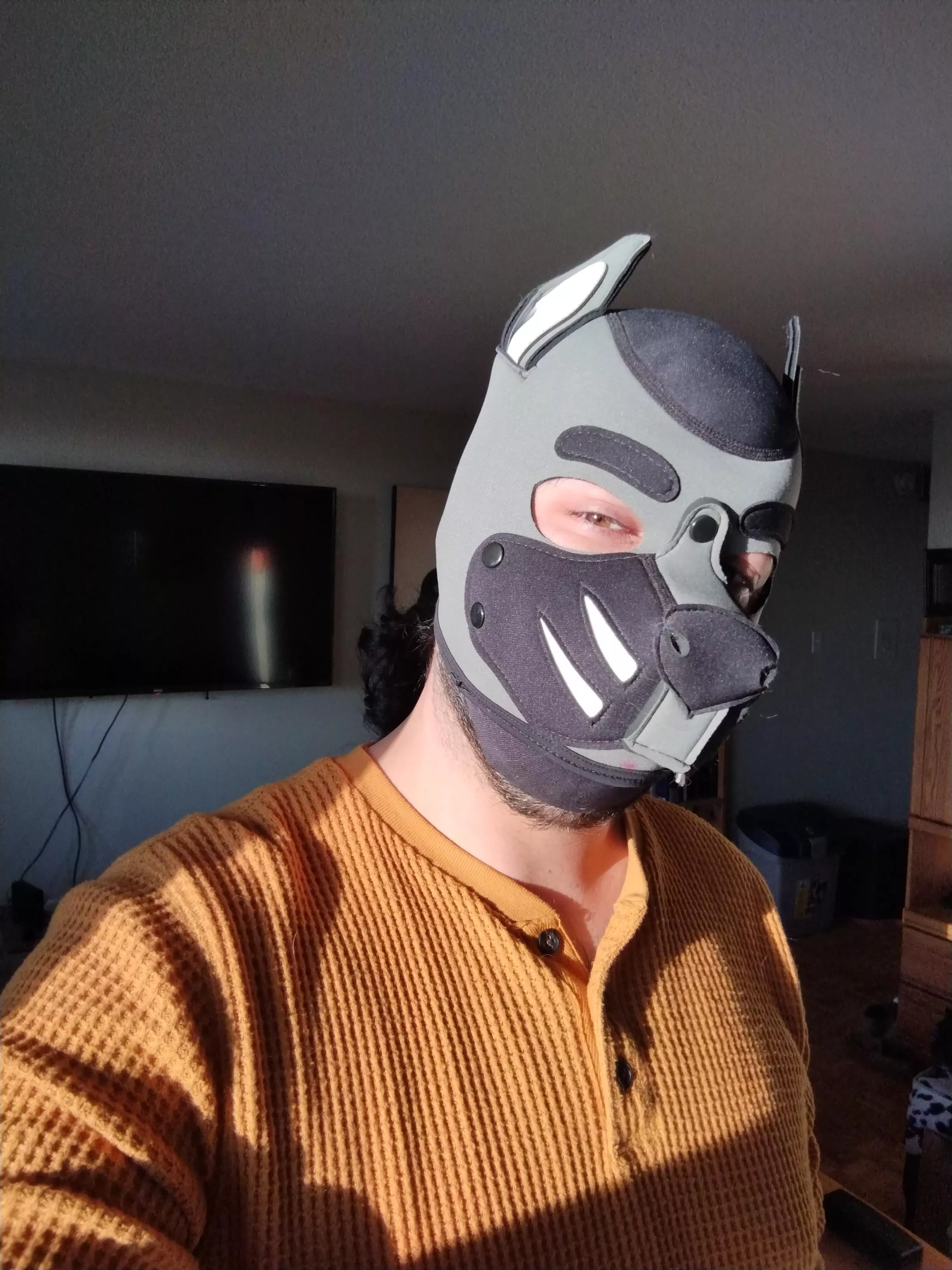 good morning everyone!