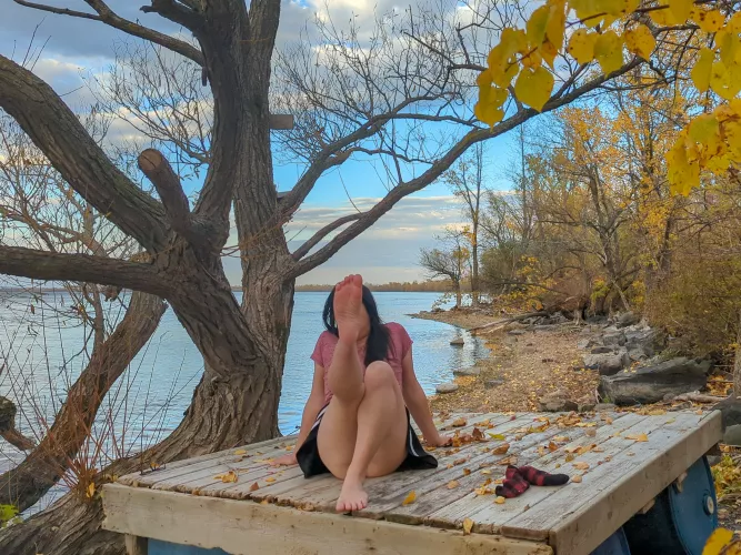 Gorgeous view of nature