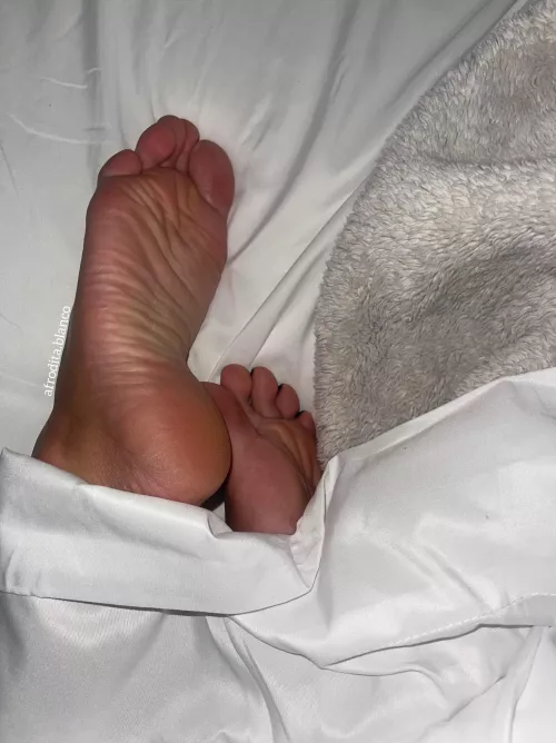 I want to feel your warm tongue on my soles