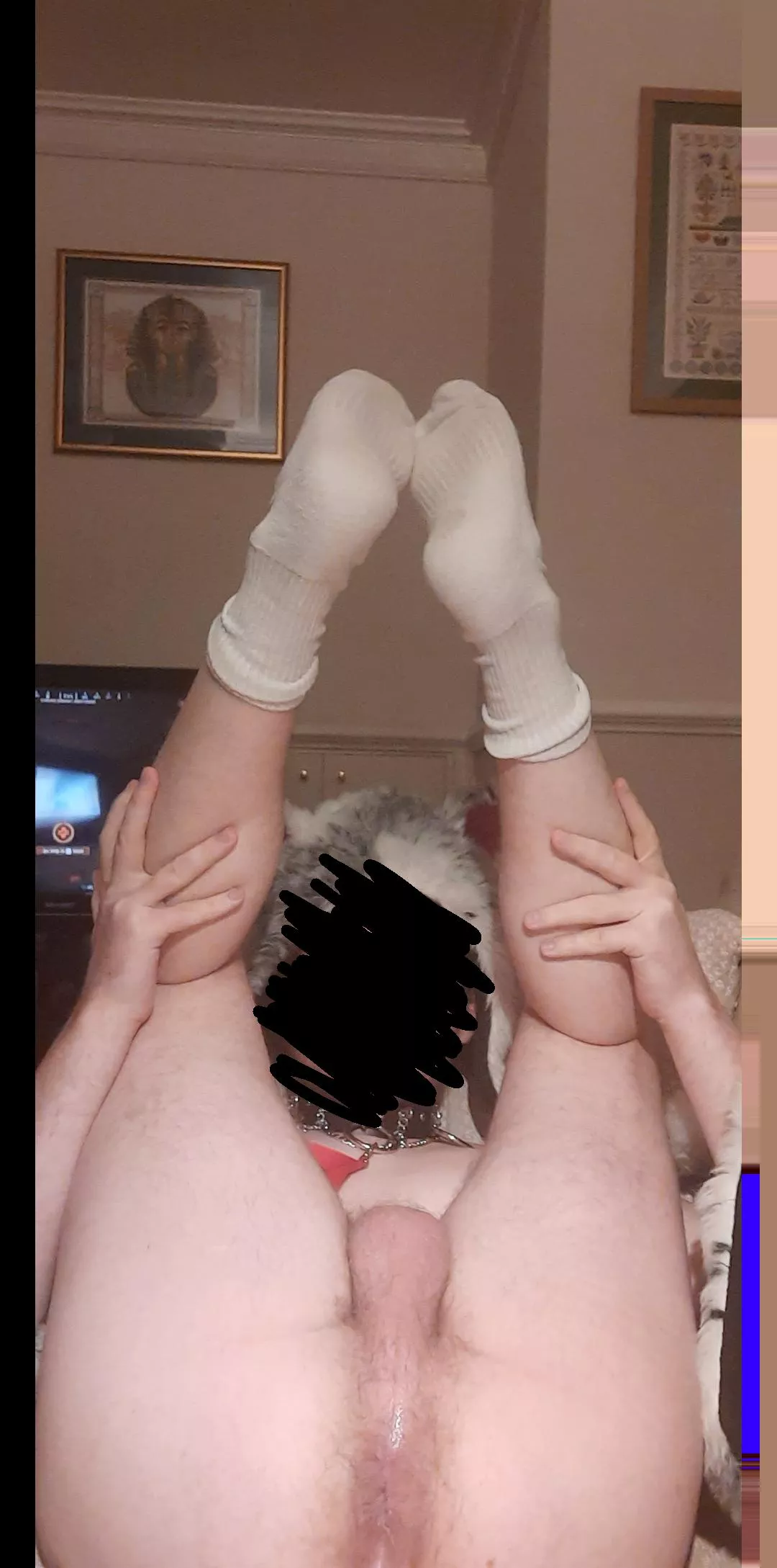 I'm just a 27 year old pup that loves socks