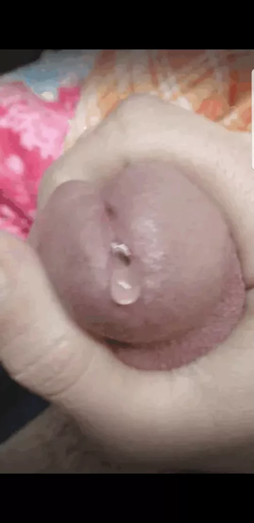 I'm so wet dm me make me come