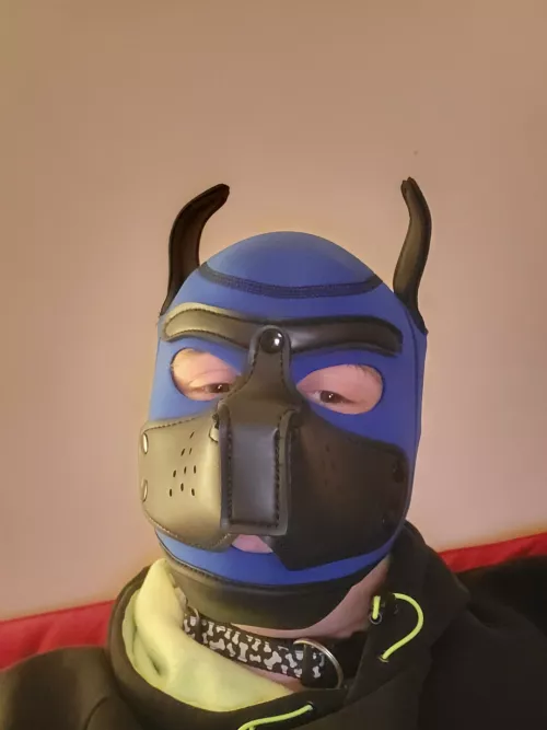 Just got my first hood and I love it 😊