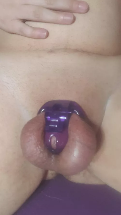 locked up is the best