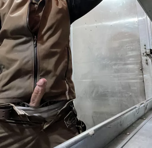 Look who wants to play