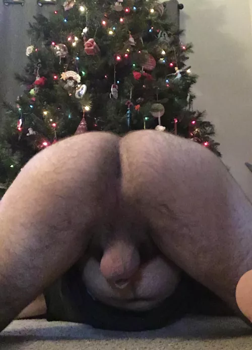 Looks like a present was left under the tree for you
