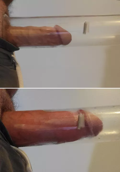 Medium to extra large