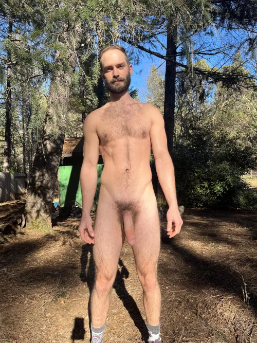 Missing the sunshine