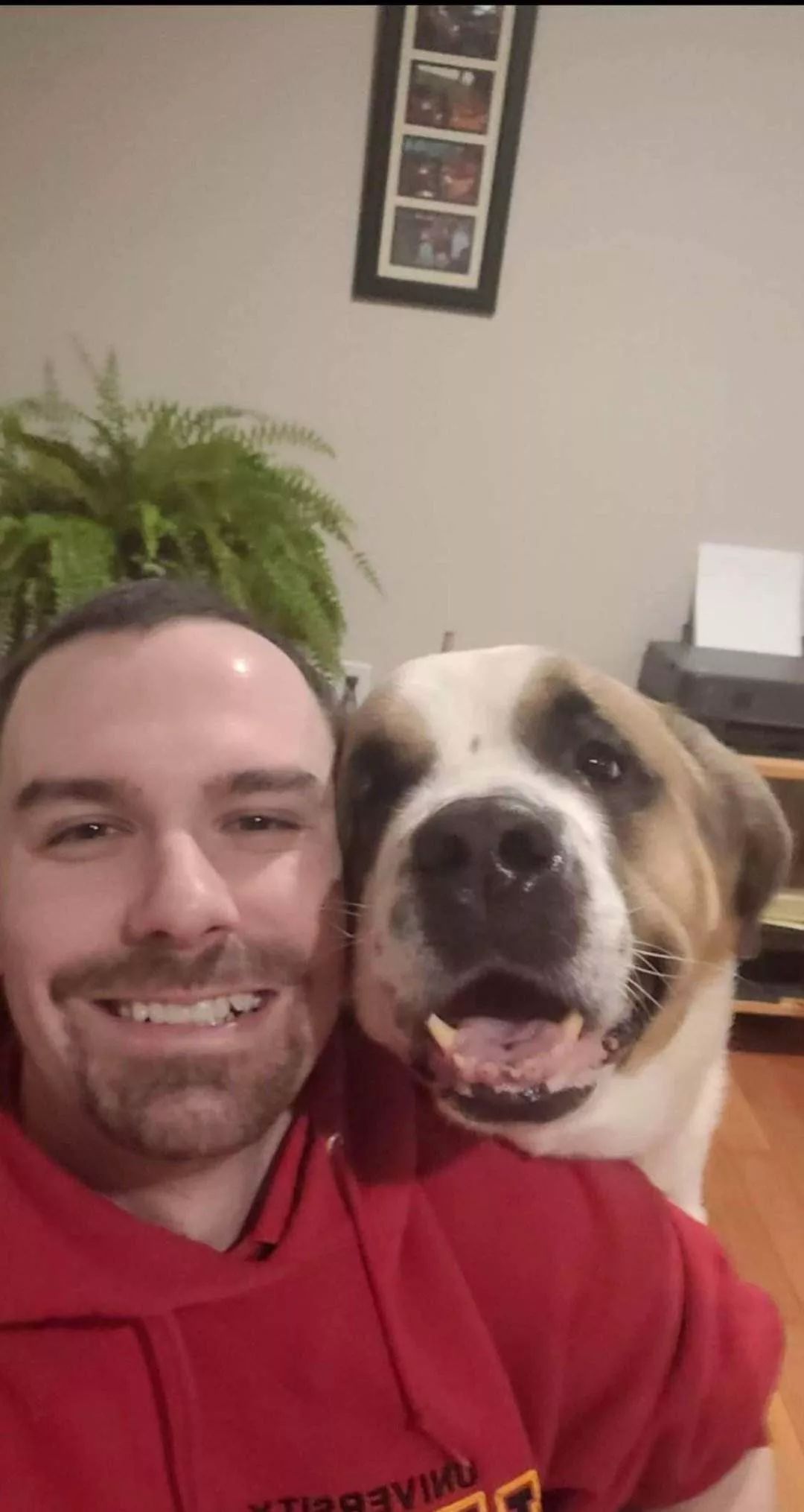 my greysie girl and I finally got a good picture ♥️