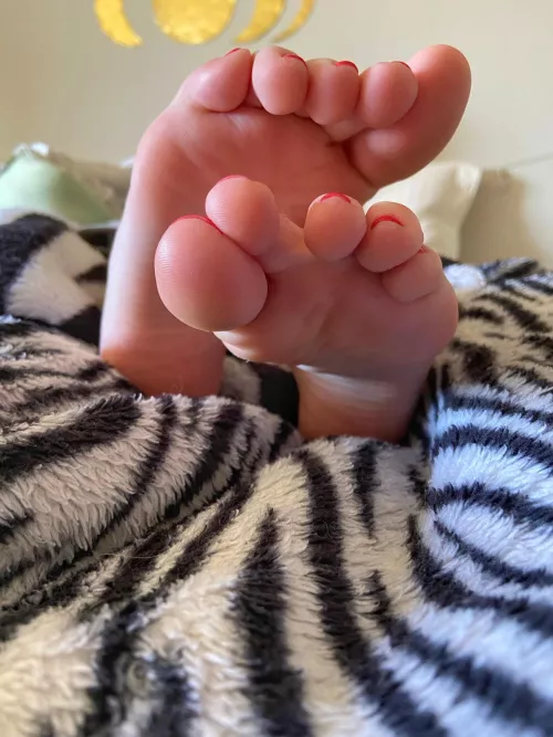 Only real men suck their girls' toes