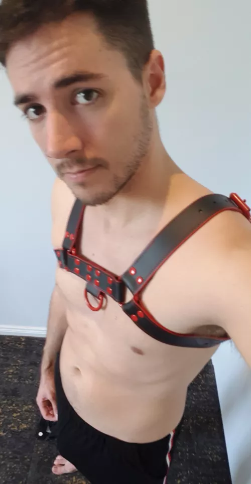 Probably a little vanilla but got my first harness!