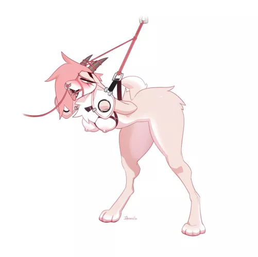 Ready to go [F] (Danomil)