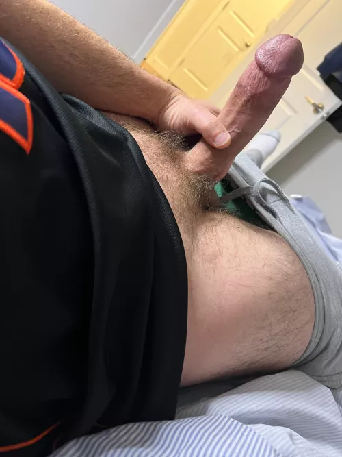 Santa’s little helper