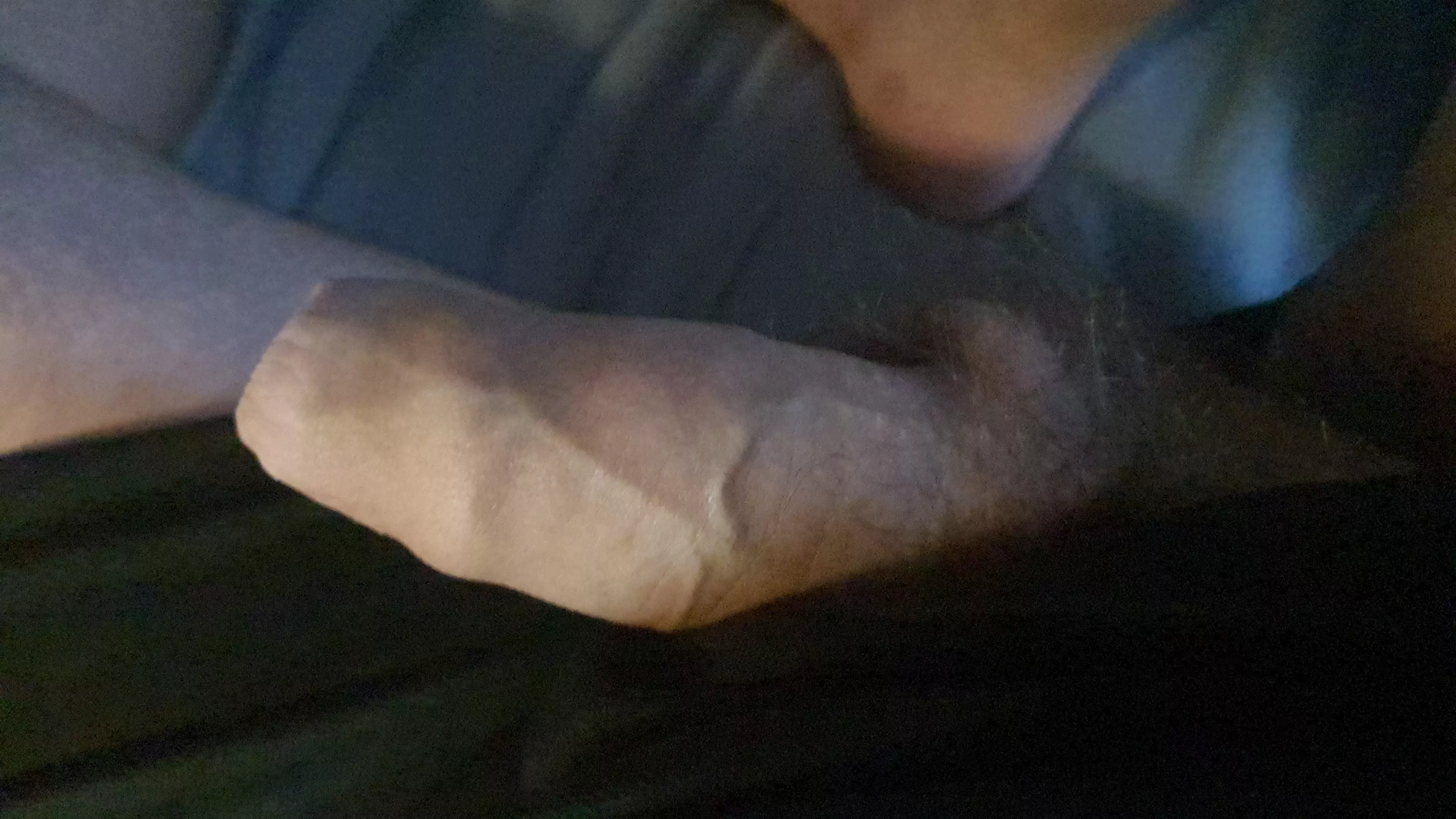 Semi popped out to say hello